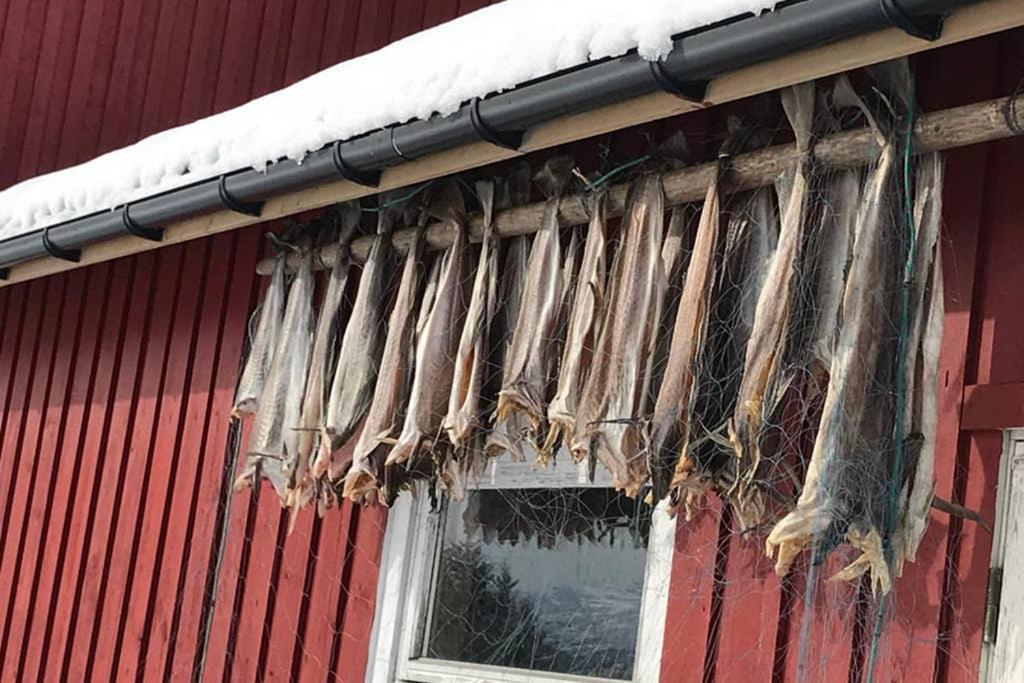 فيلا Nordlandshus Ved Lofotr Bostad المظهر الخارجي الصورة